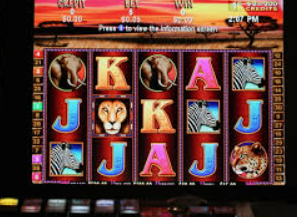 旺财28.ccpc29APP免费版