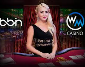 旺财28.ccpc29APP电脑免费版